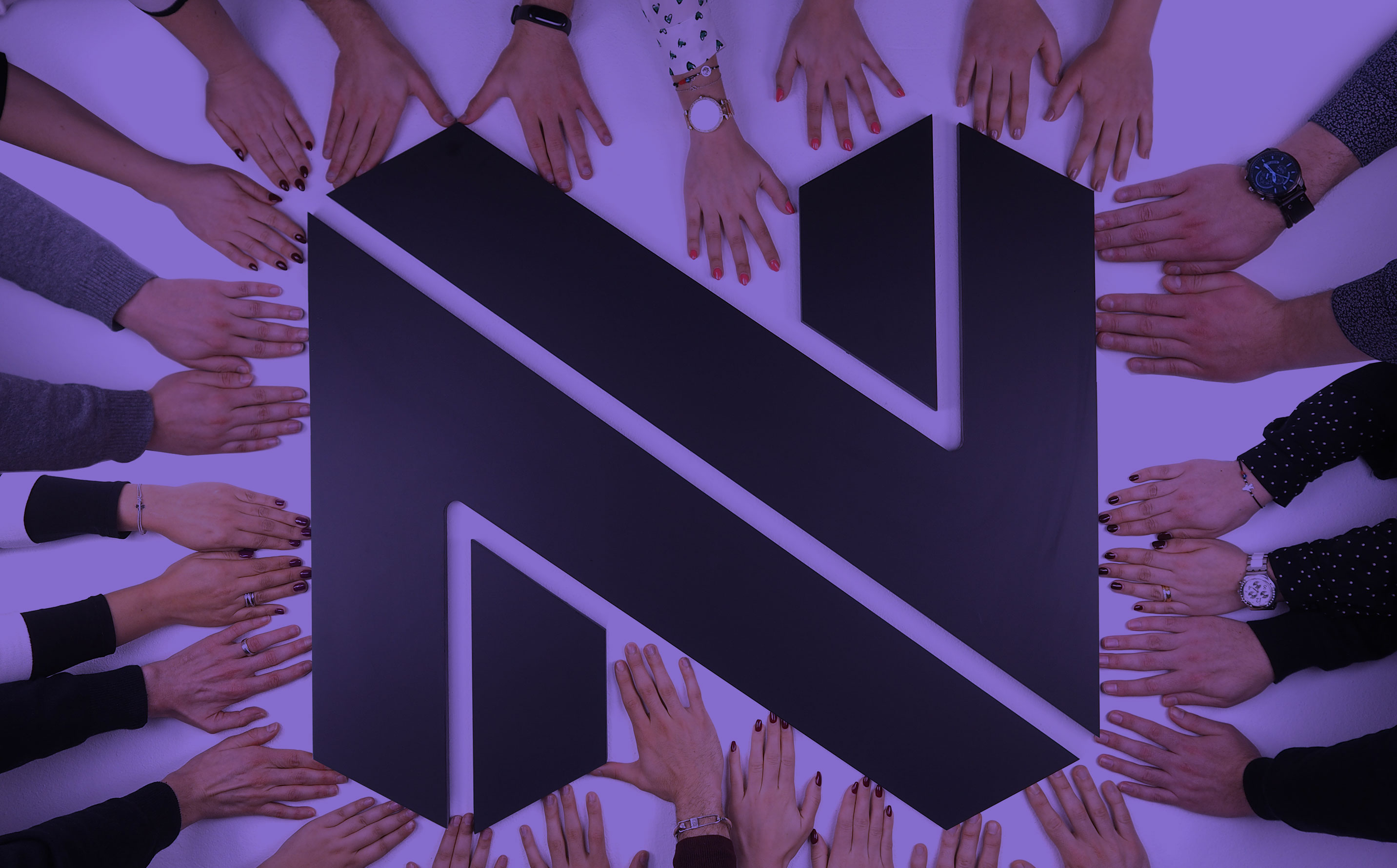 Netgocio logo