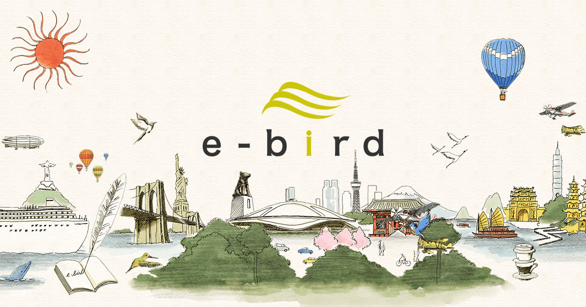 e - bird logo