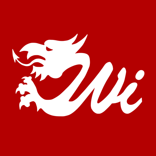 Wales Interactive Services logo