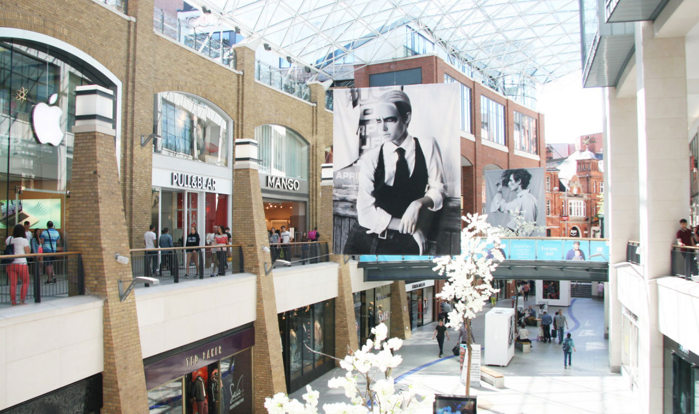 Alexander Boyd Displays logo