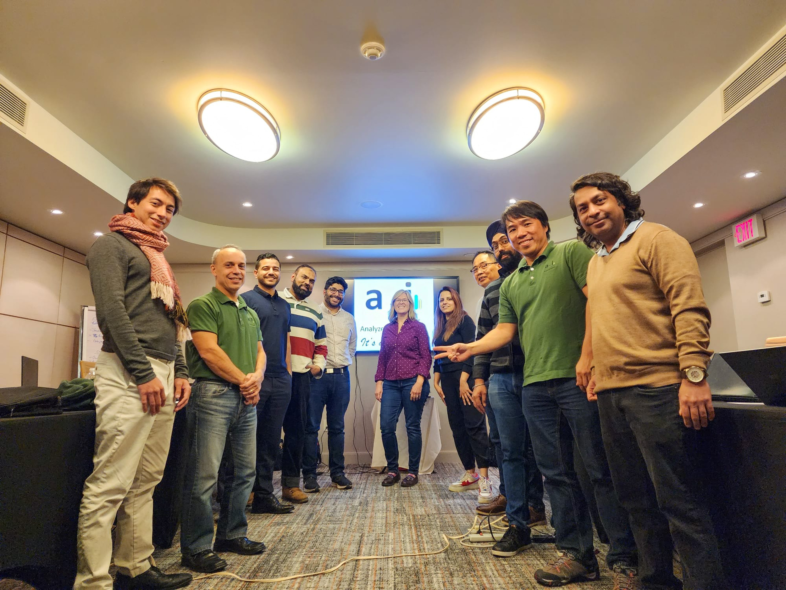 Analyze &amp; Improve Inc. logo