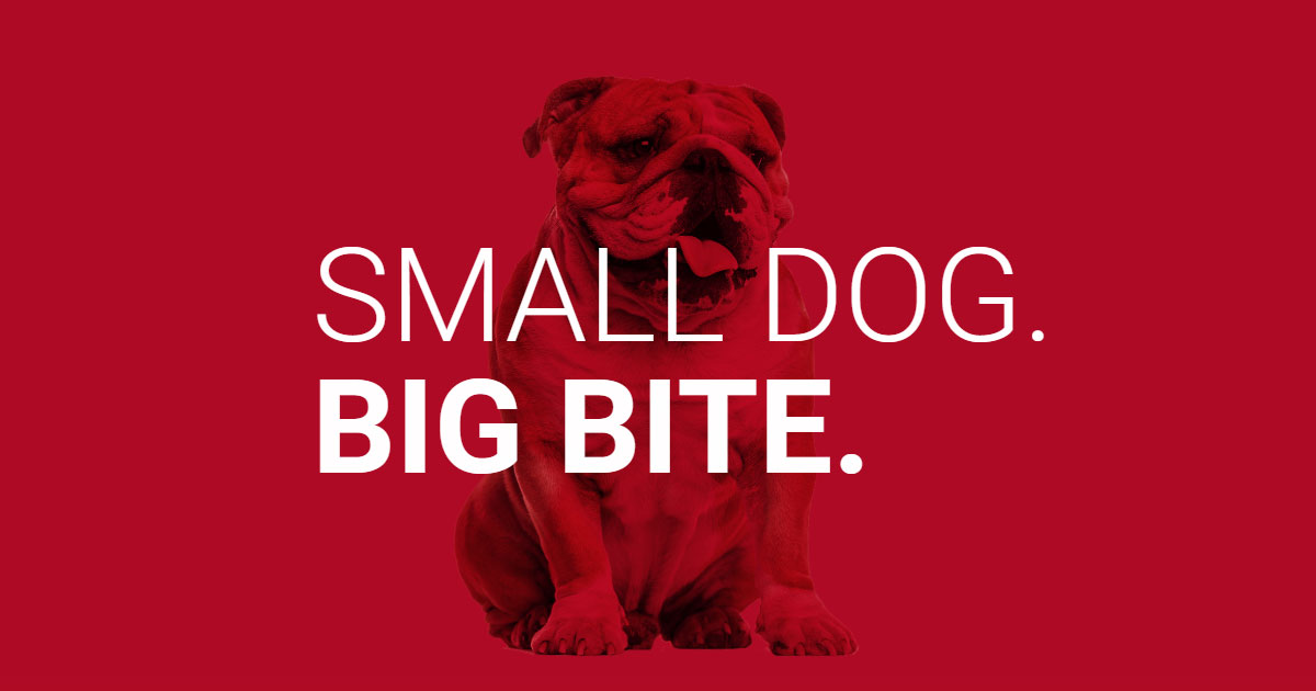 Bulldog Creative Services logo