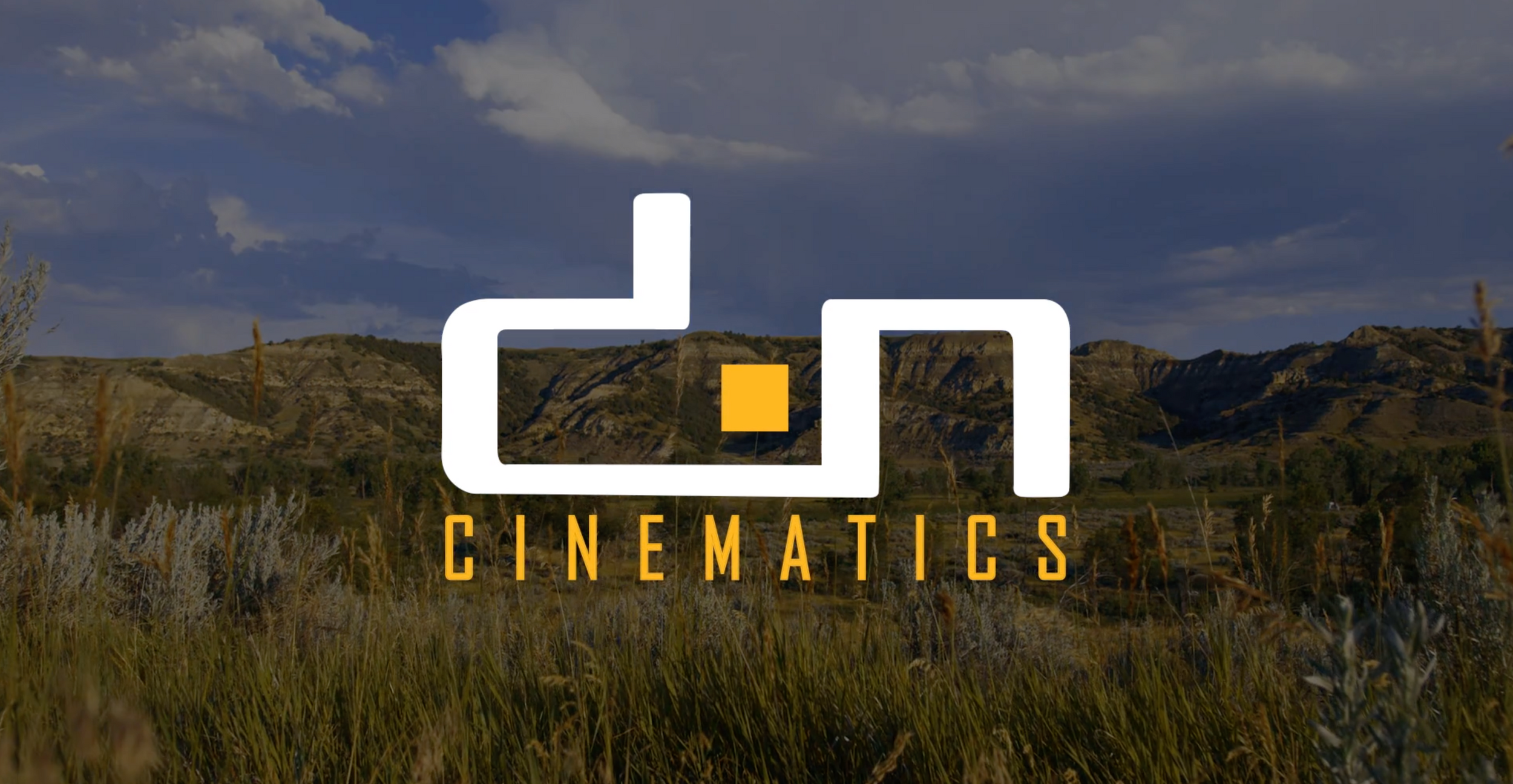 D&amp;N Cinematics logo