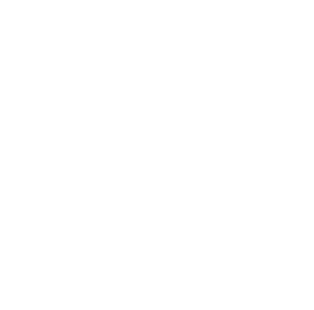 Long Story Short Media logo