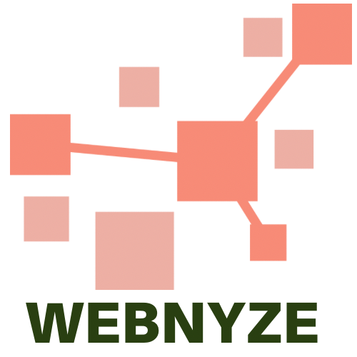 Webnyze logo