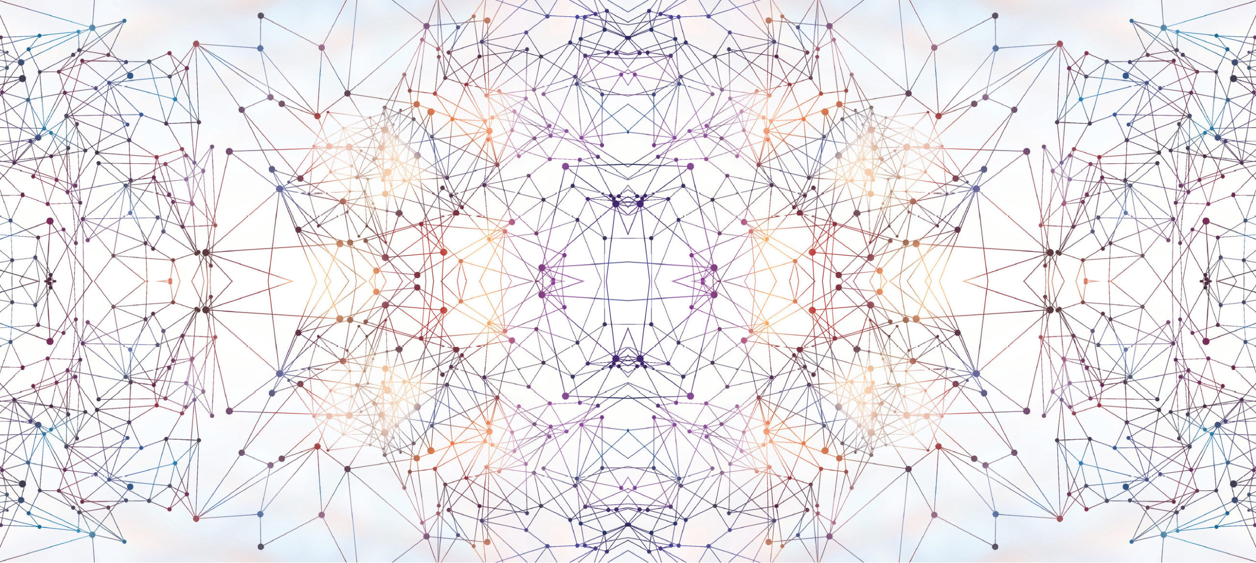 Leader Networks logo