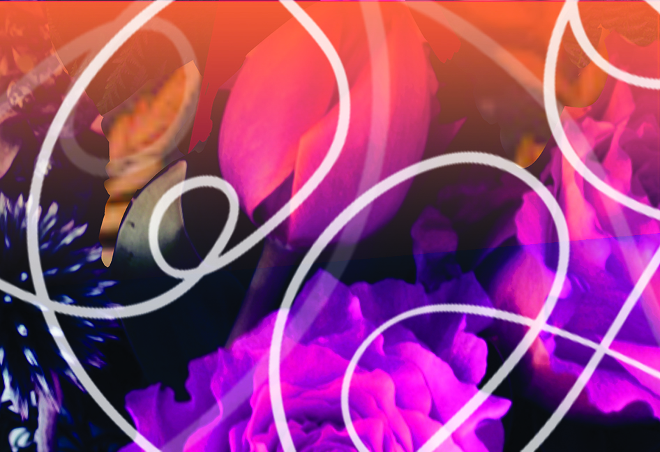 Wylde Interior Architecture logo