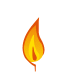 Flyingcolour logo