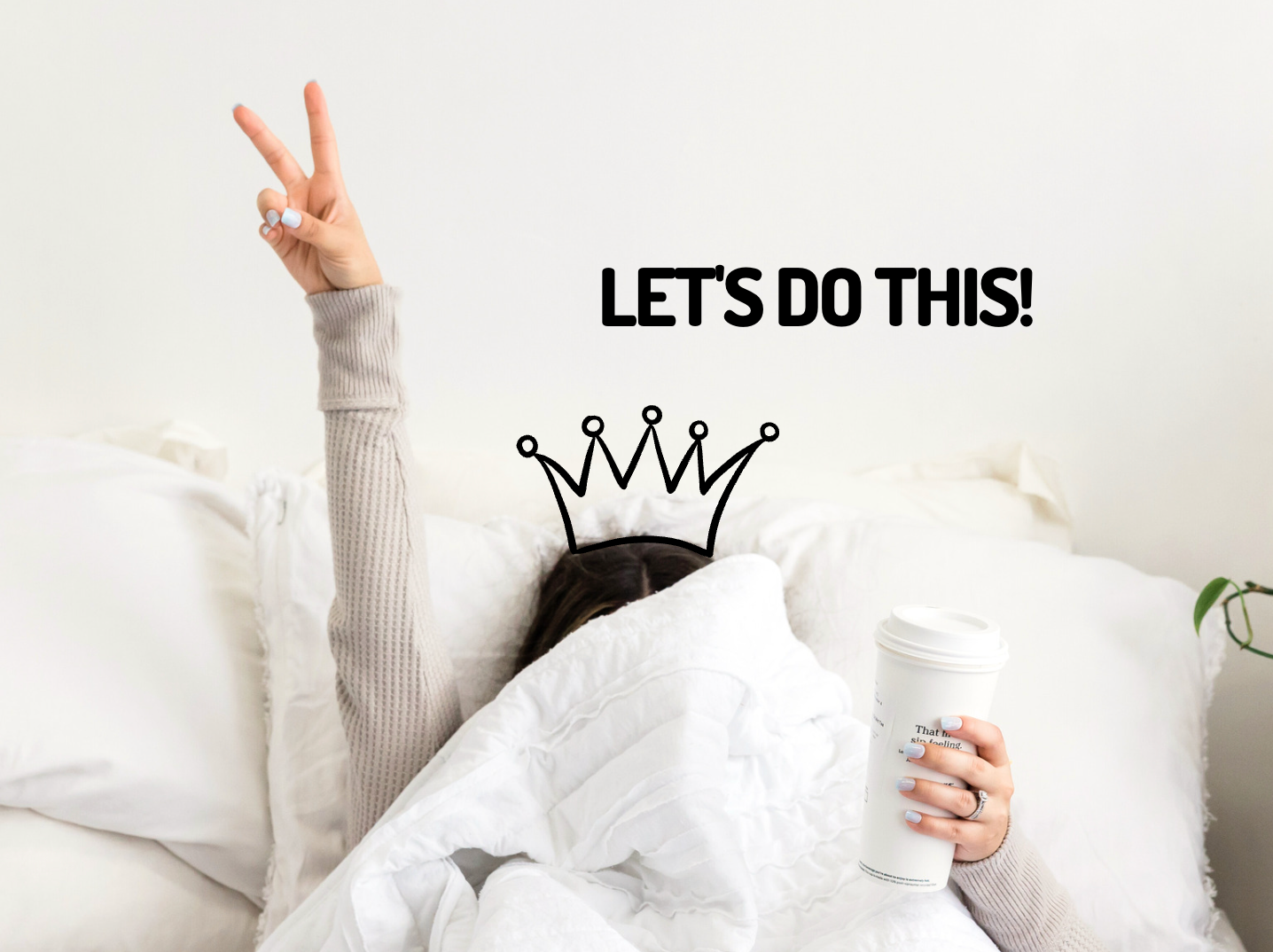 Visual Concepts &amp; Designs logo