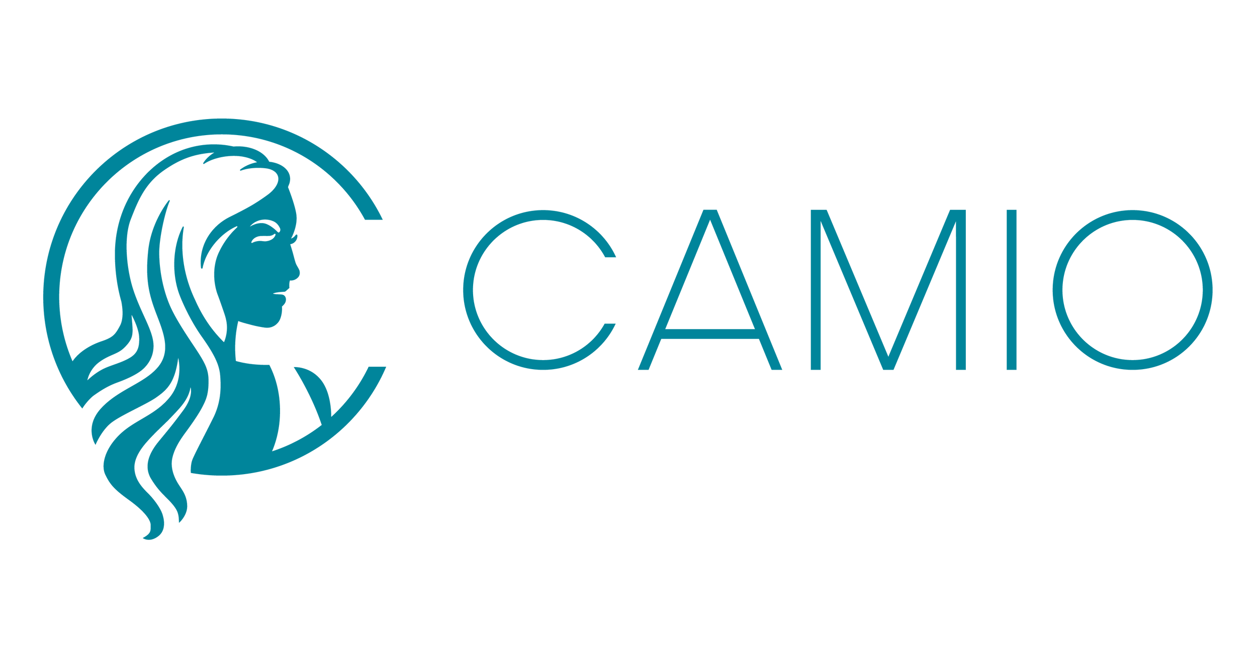 CAMIO PR LLC logo