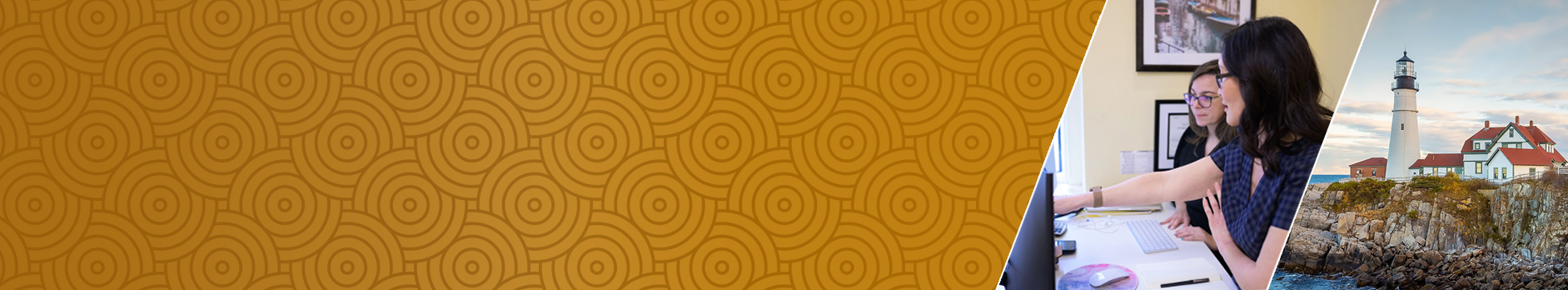 House of Languages logo