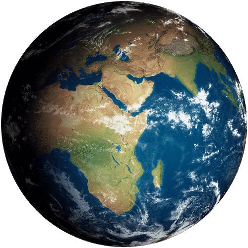 Language Insight logo