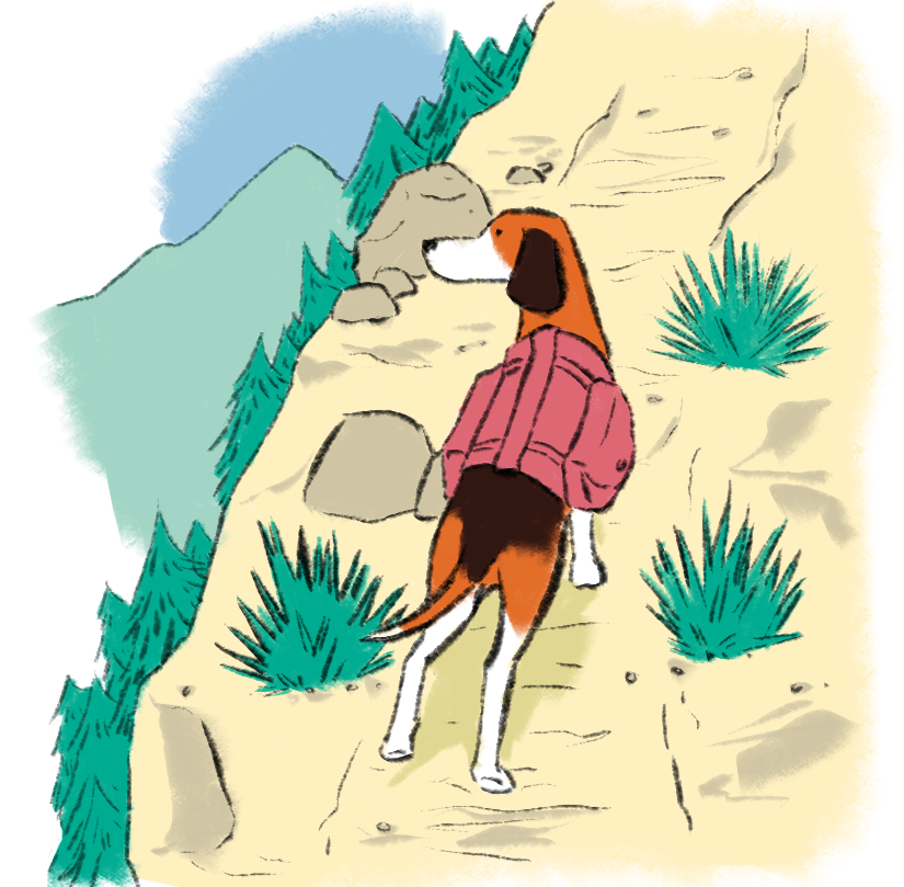 Standard Beagle Studio logo