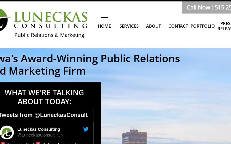 Luneckas Consulting logo