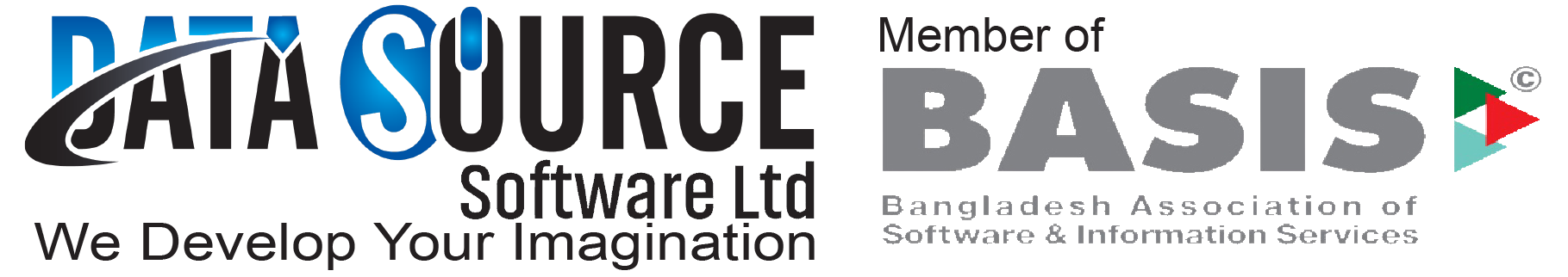 Datasource Software Ltd logo