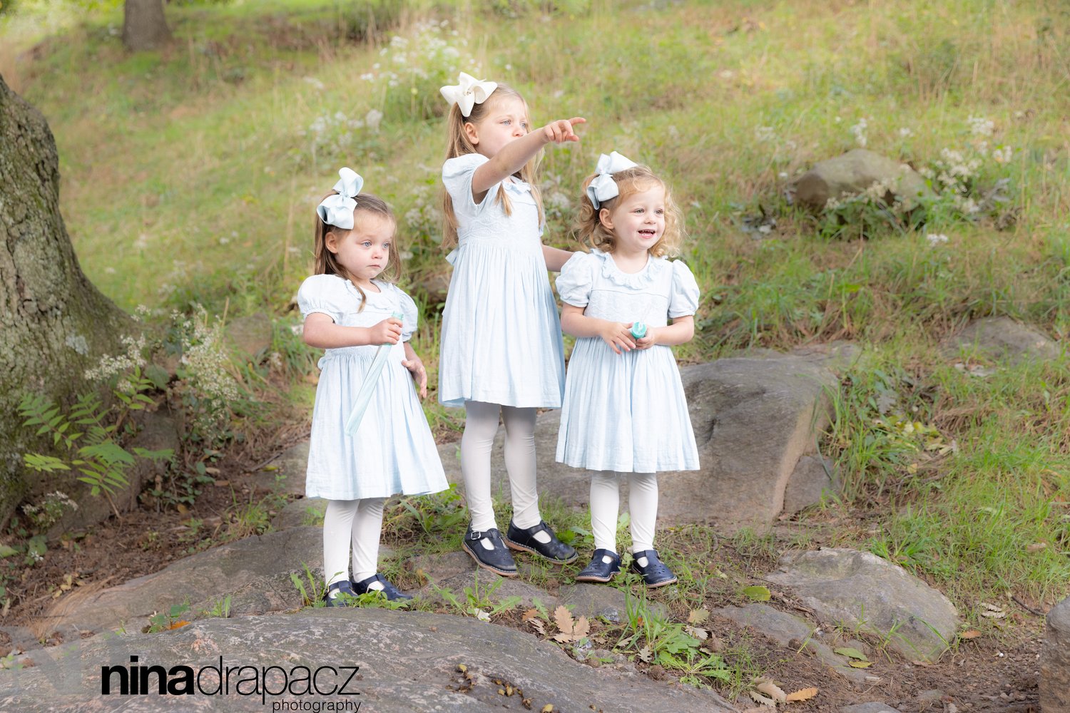 Nina Drapacz Photography LLC logo