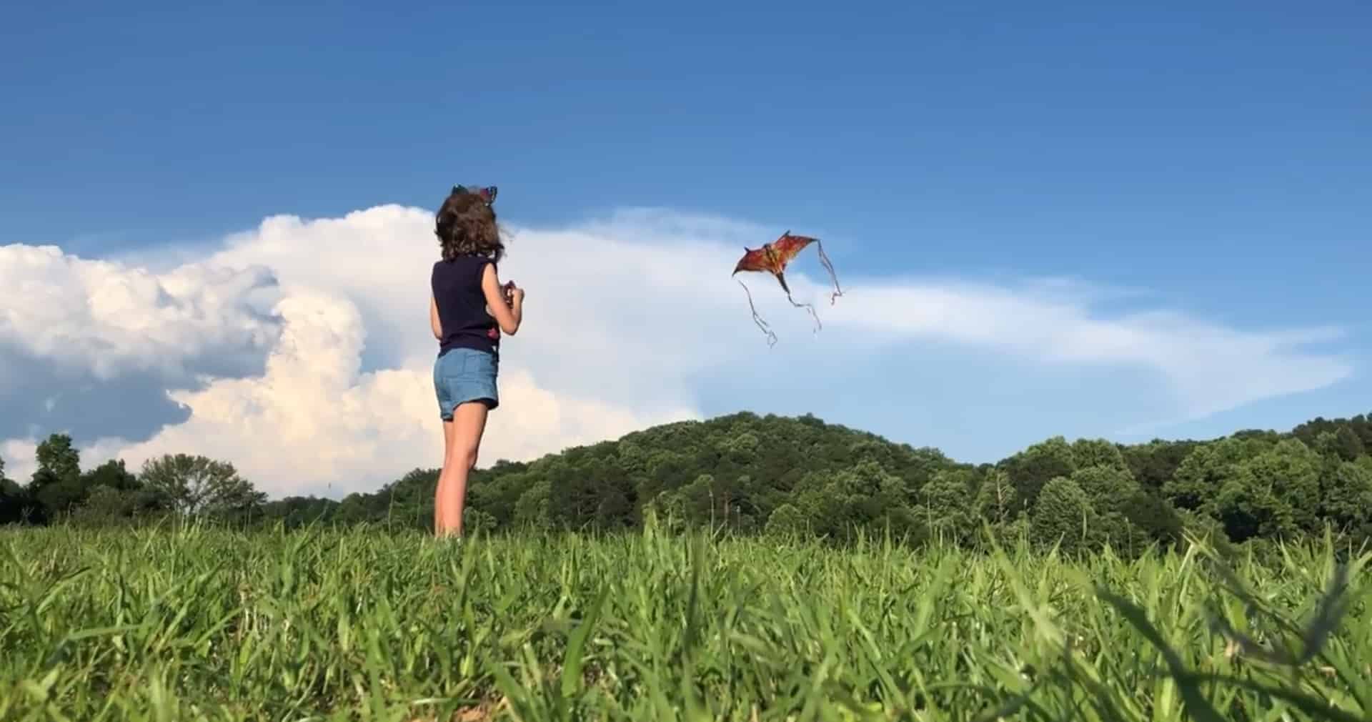 Blue Light Labs logo