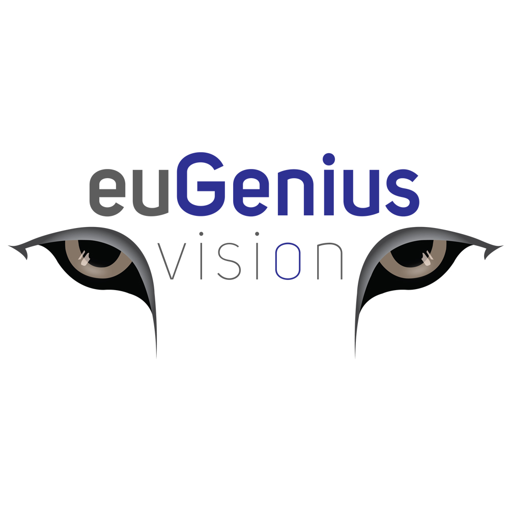 euGenius Vision Cleveland SEO logo