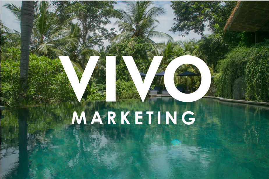 Vivo Marketing logo