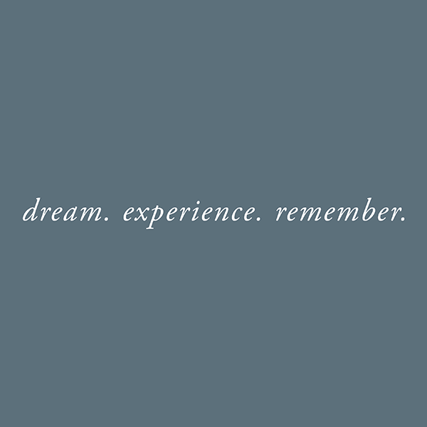 Dana Siles Photographer logo