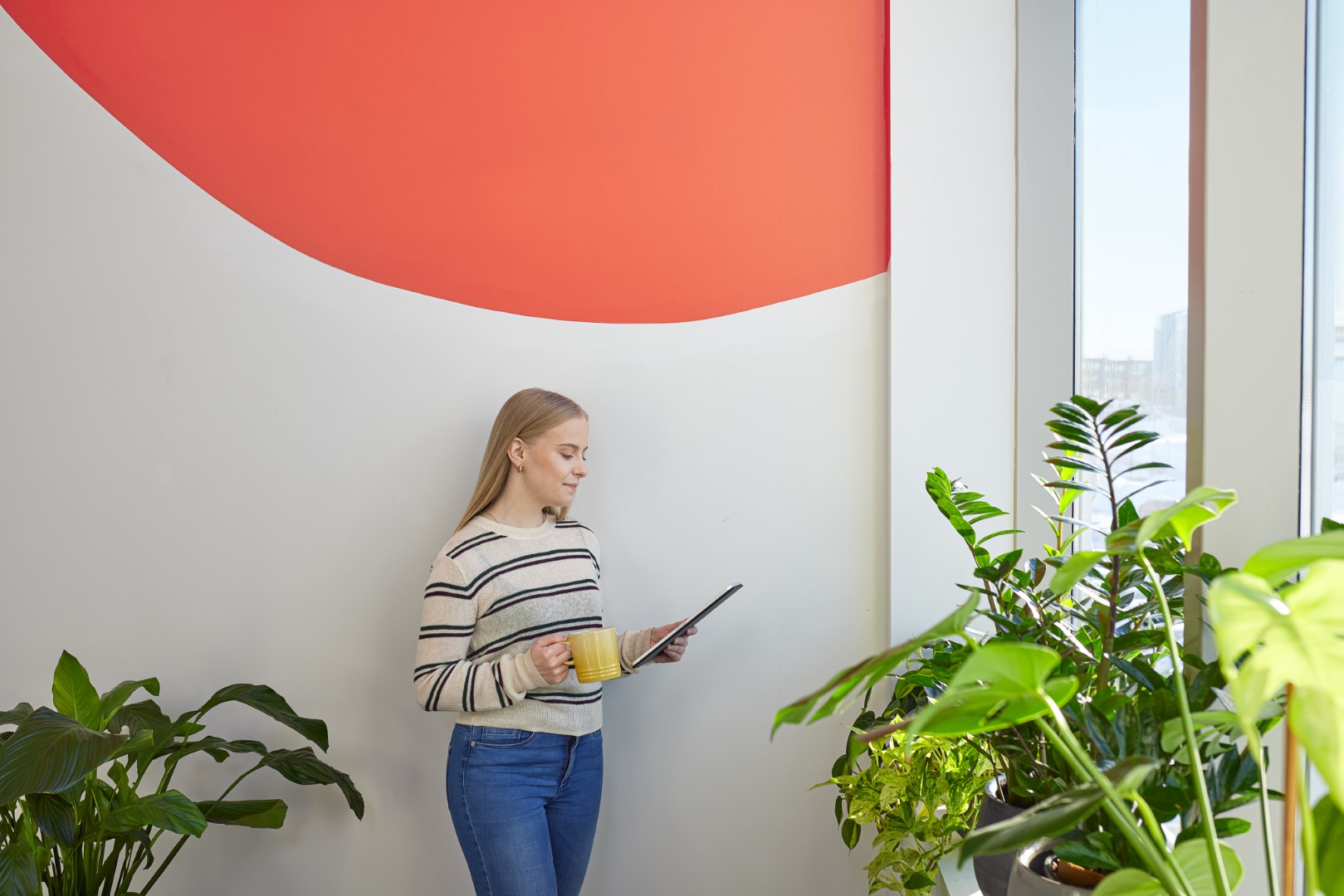 Wise lausnir ehf. logo