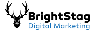 Local Marketing Guru logo