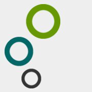 Found Online Solutions logo