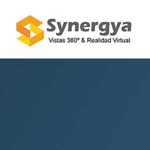 Synergya logo