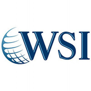 WSI World logo
