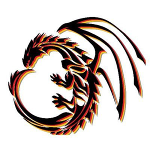 DragonFire Digital Marketing logo