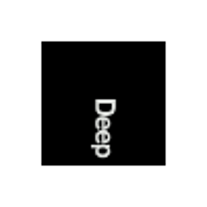 Deep LLP logo