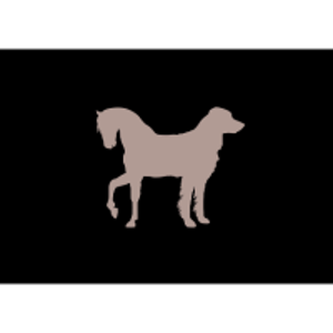 DARLING DASH LIMITED logo