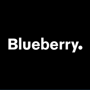 Blueberry logo