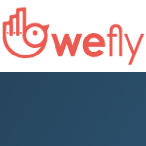 Wefly logo
