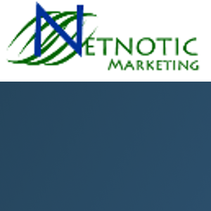 Netnotic Marketing logo