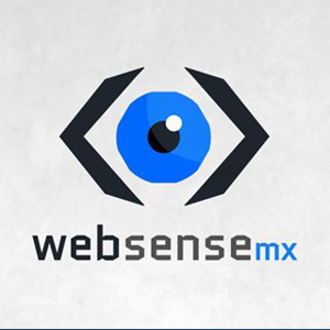 Websense Soluciones logo