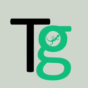 Techgecko logo