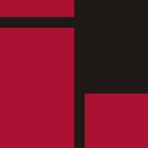 Luminous Infoways Pvt. Ltd. logo