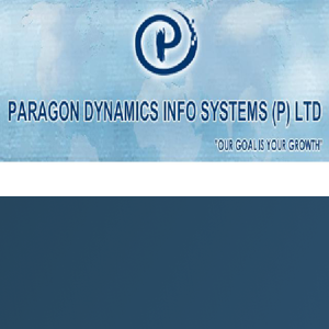 Paragon Dynamics Info Systems logo