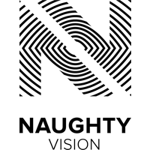 Naughty Vision logo