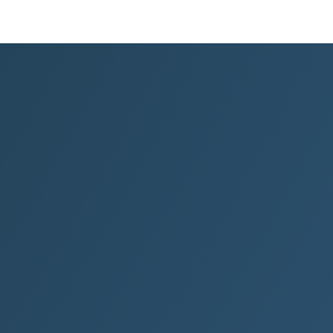 Lobulo Digital logo