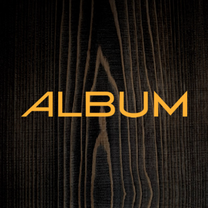 Album Agency logo