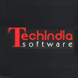 TechIndia Software logo
