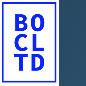 Brown Owl Creative logo