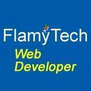 FlamyTech Web Developer logo