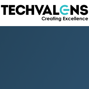 TechValens Software Systems LLC logo