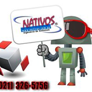 NATIVOS Systems Engineering. logo