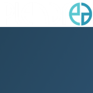 Plenarea logo