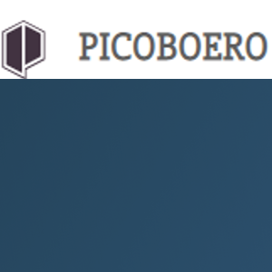 Pico Boero logo