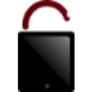 Numlock Business Solutions Co. logo